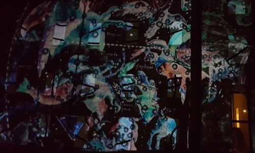vue projection