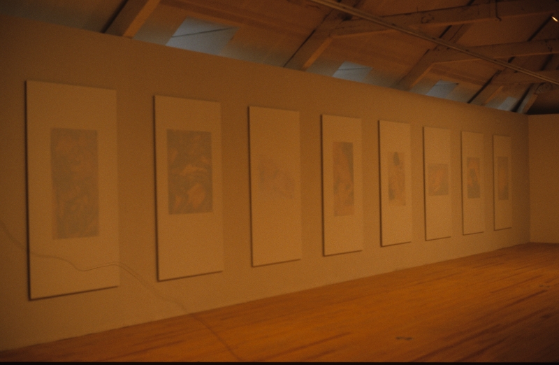 Vue d'exposition