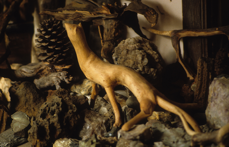 Détail